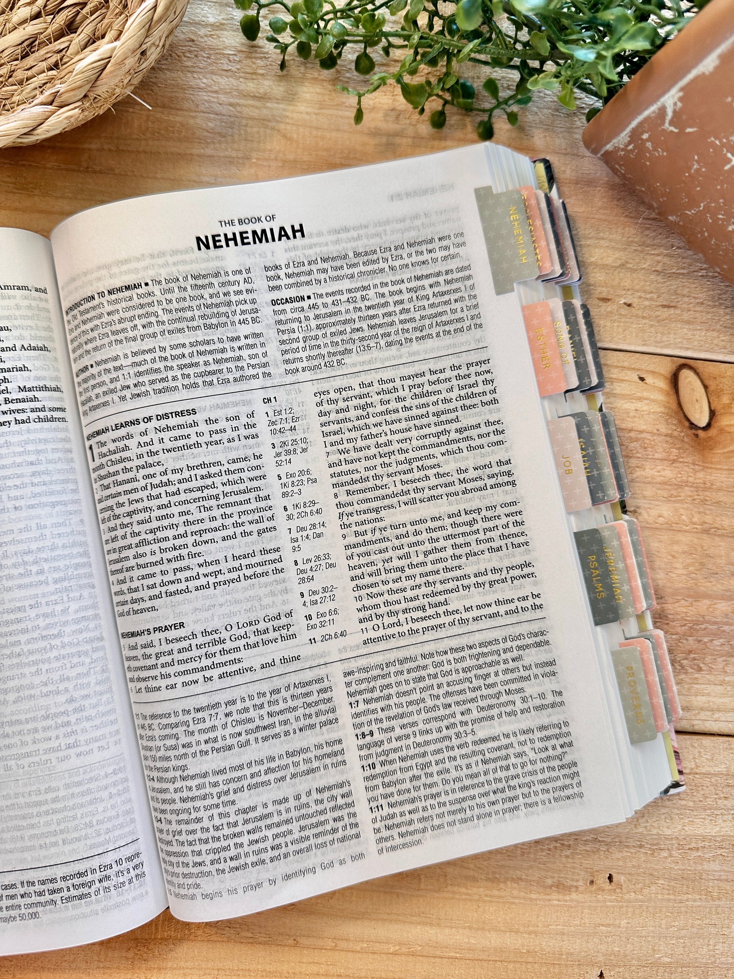 KJV Blossom Study Bible