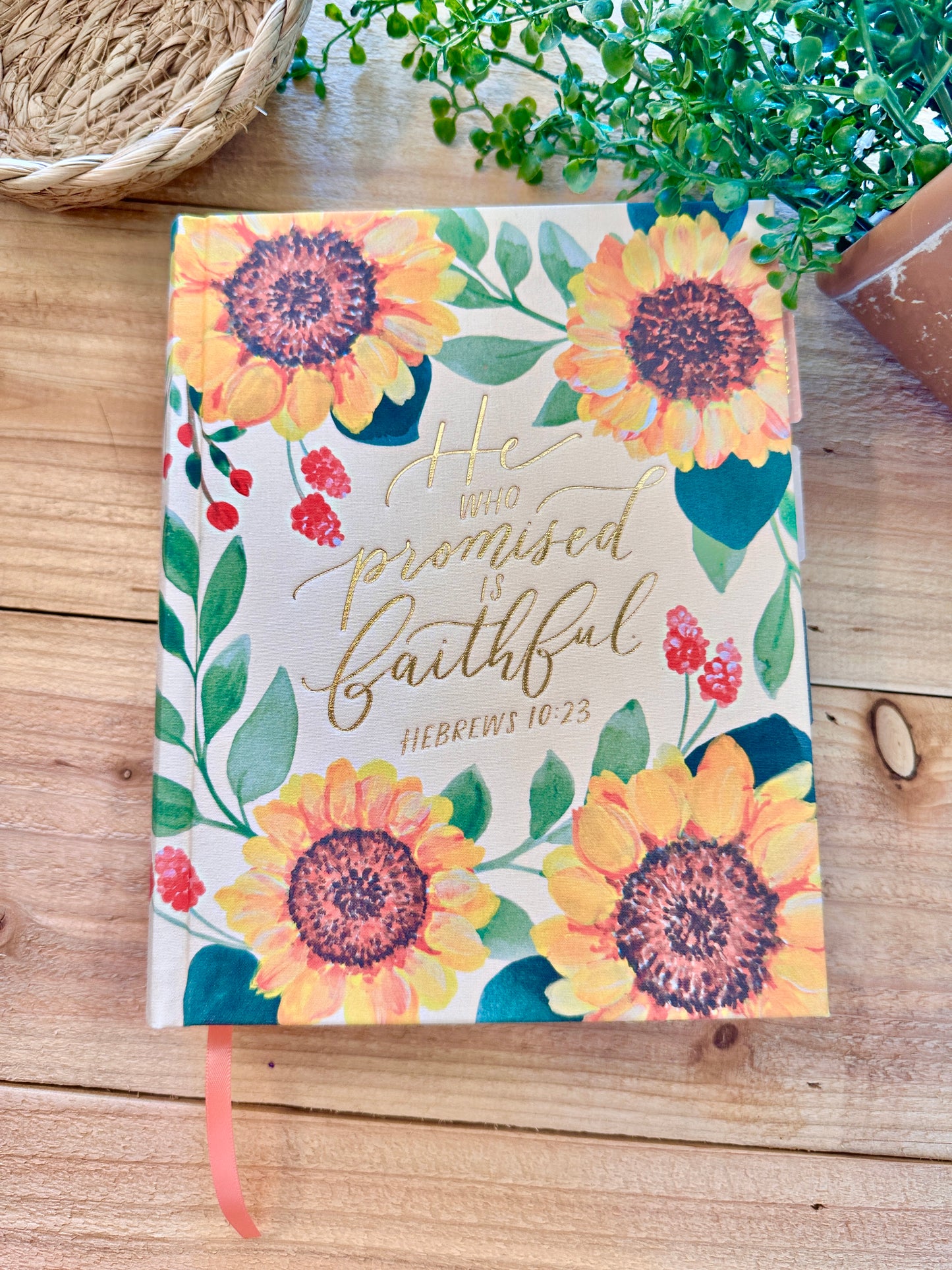 CSB Hosanna Bible-Sunflower