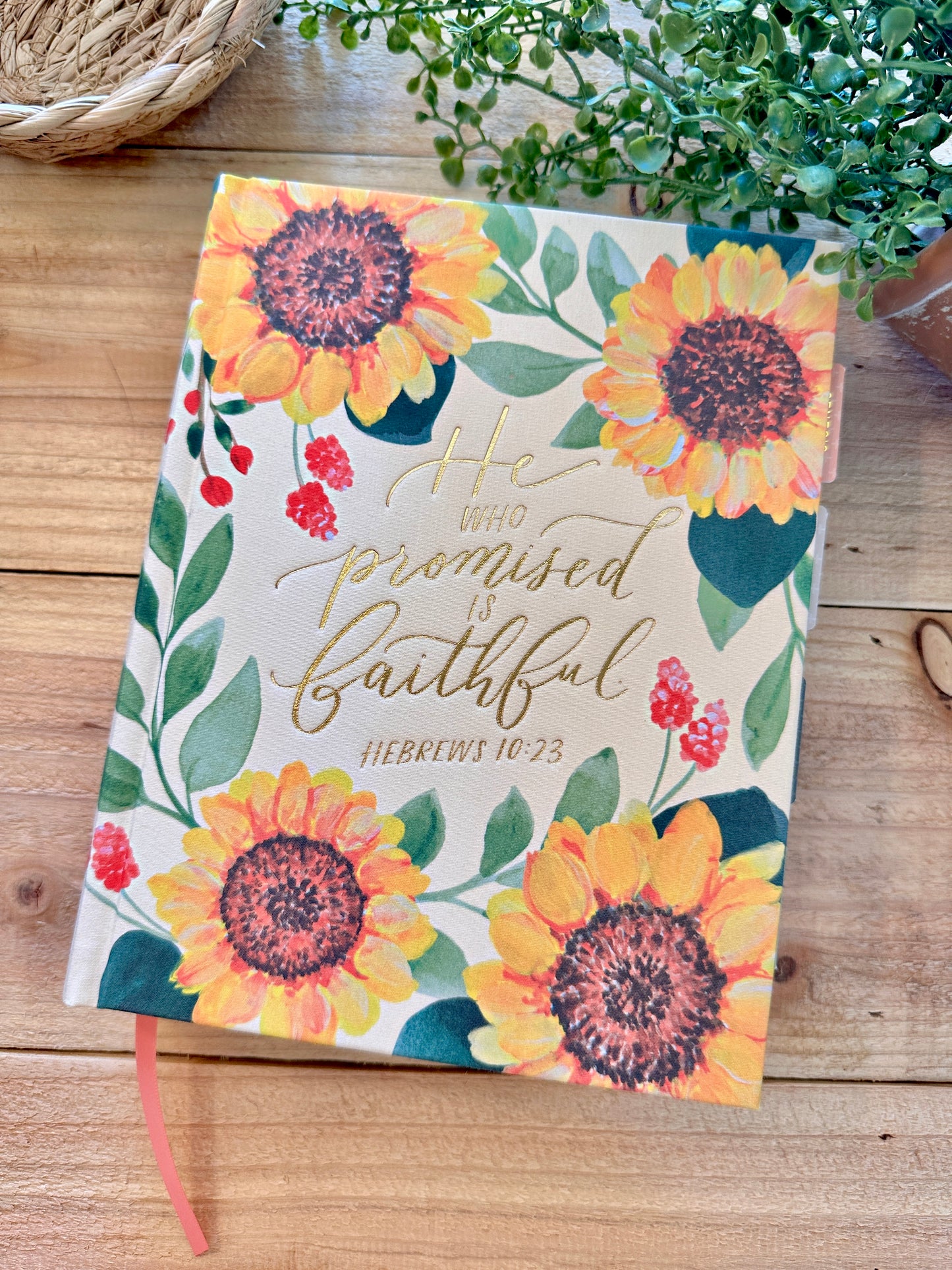 CSB Hosanna Bible-Sunflower