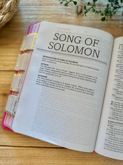 KJV Simplified Young Girls Bible