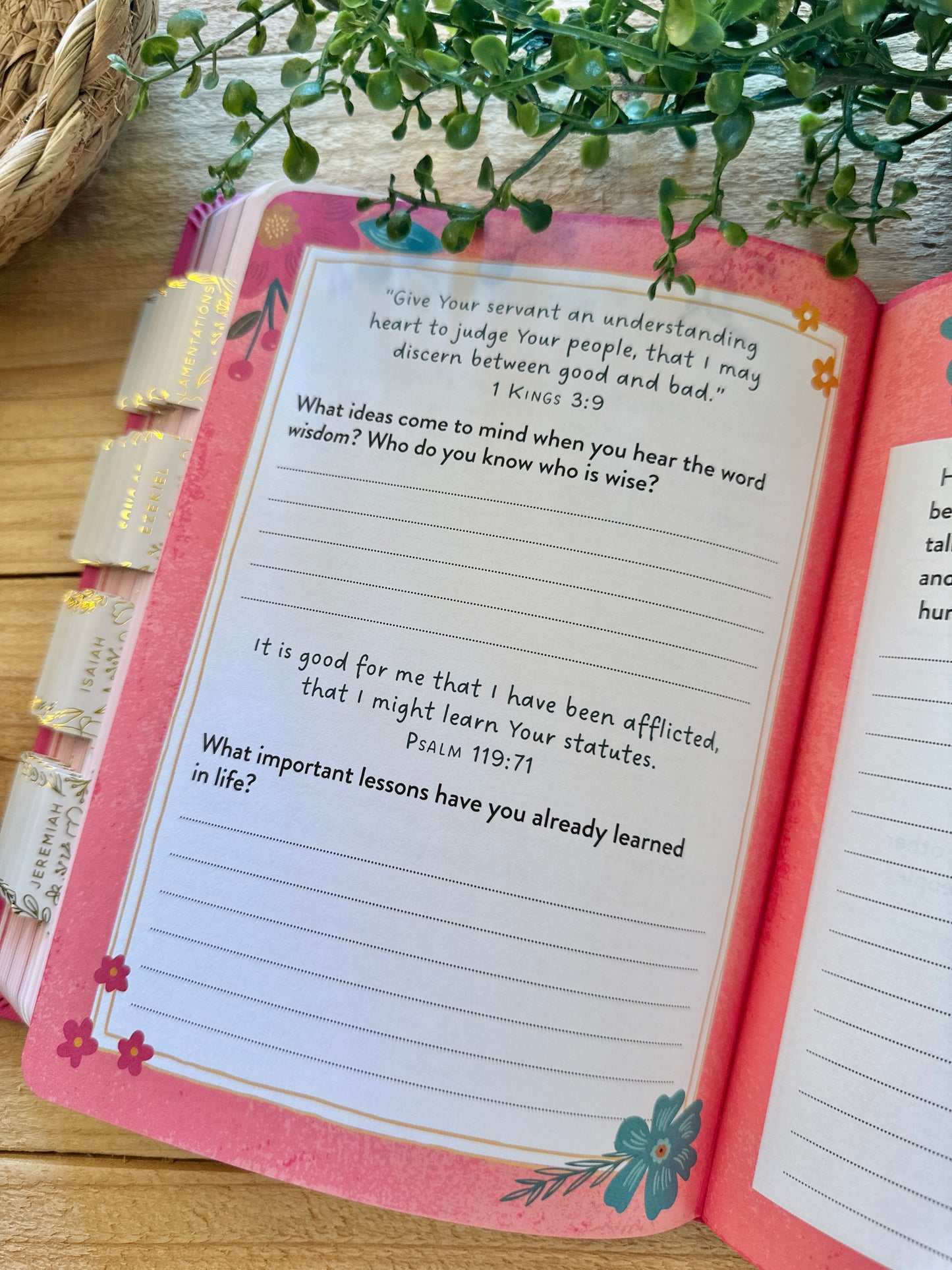 KJV Simplified Young Girls Bible
