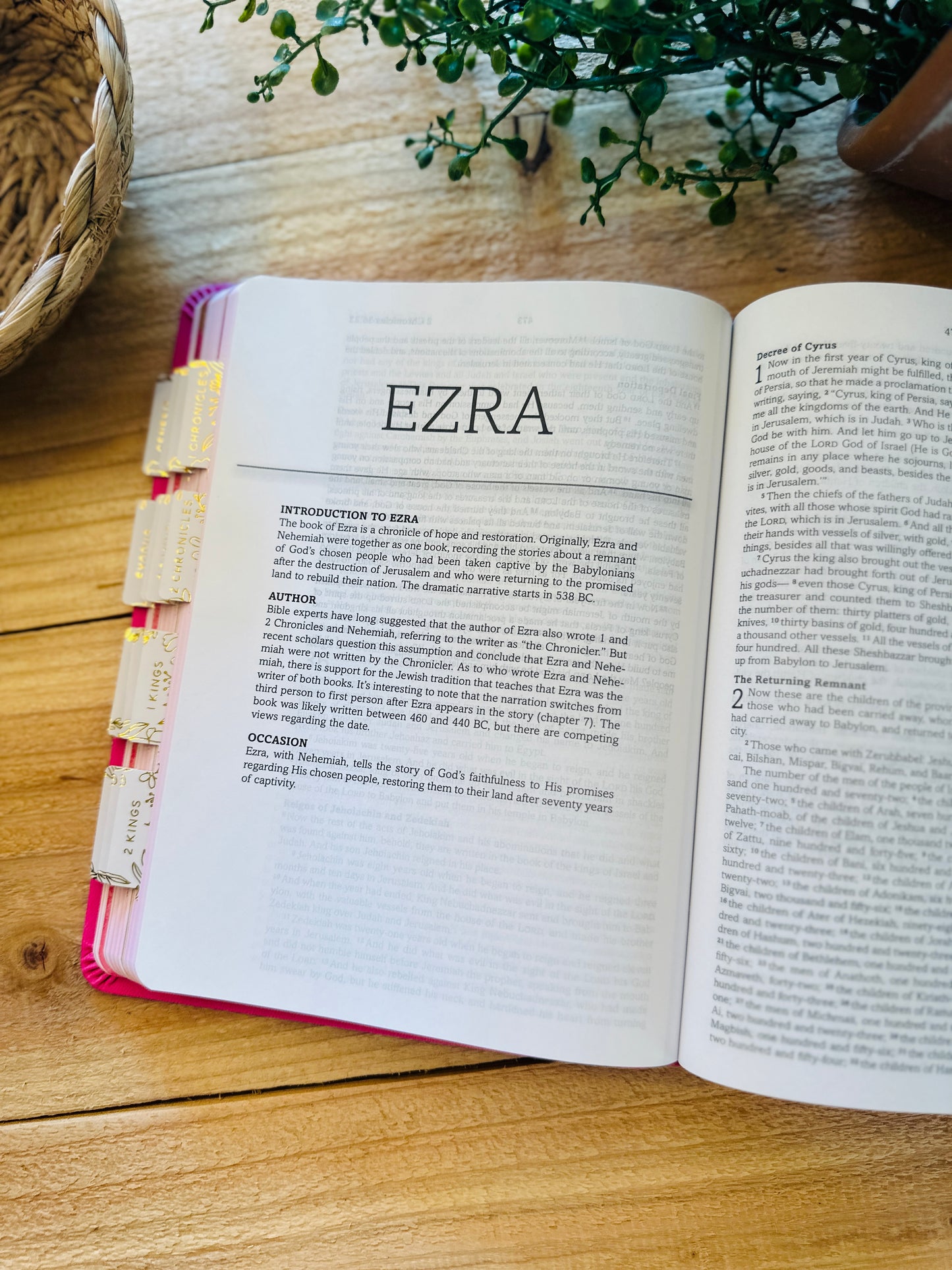 KJV Simplified Young Girls Bible
