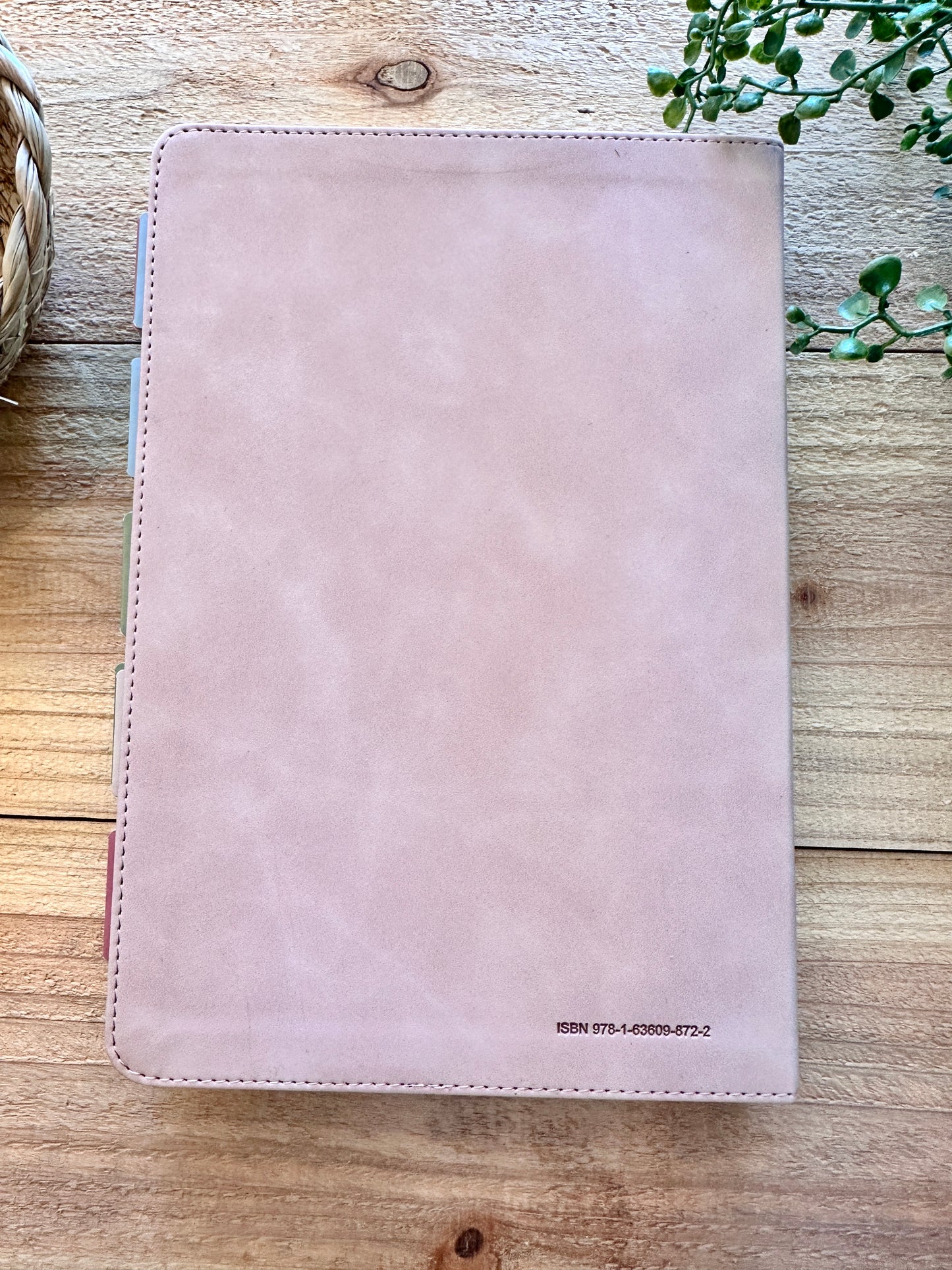 NASB Study Bible-Blush