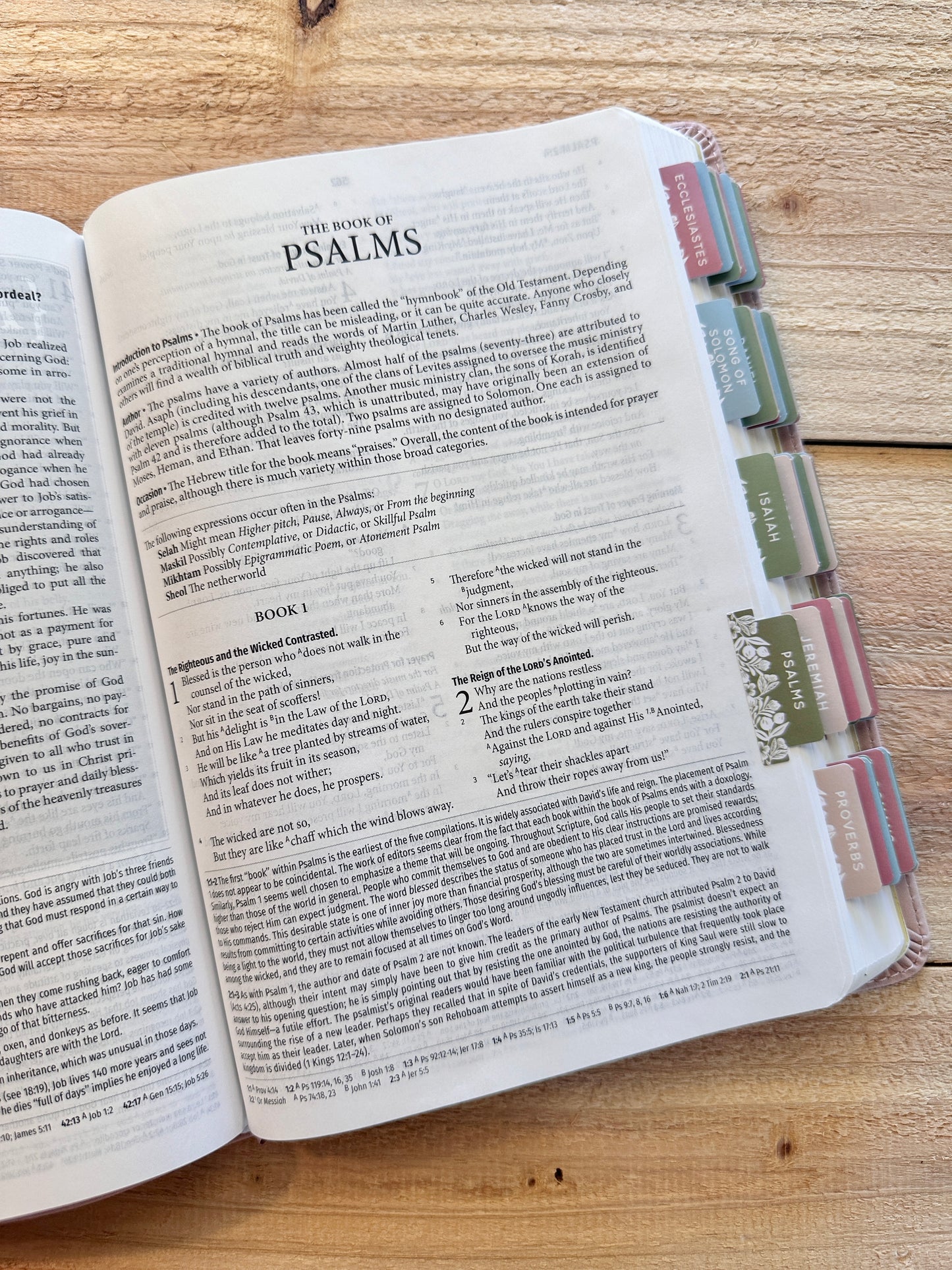 NASB Study Bible-Blush