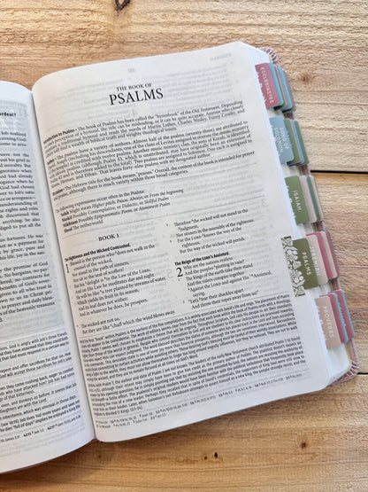 NASB Study Bible-Blush