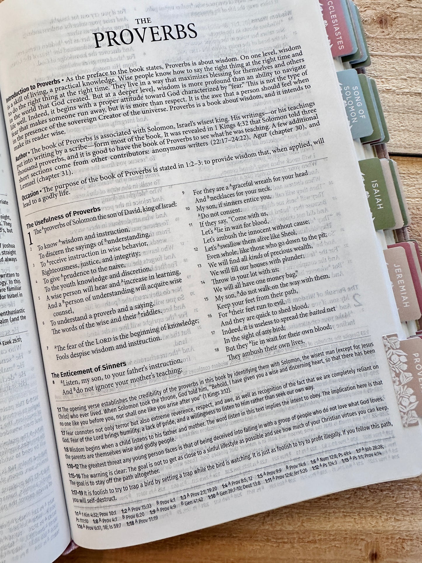 NASB Study Bible-Blush