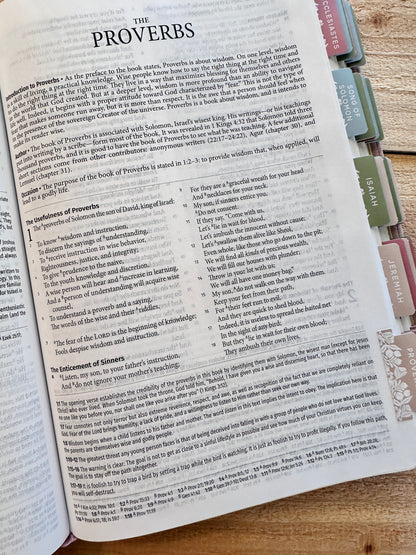 NASB Study Bible-Blush