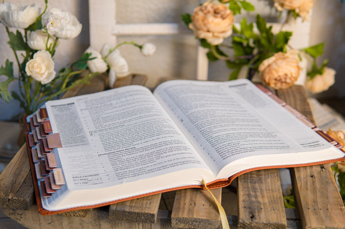 KJV Simplified Bible